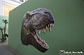 VBS_1054 - Dinosauri. Terra dei giganti